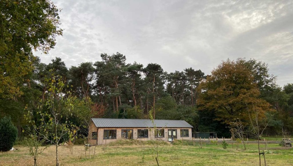 markdeweijer-atelier-homepage