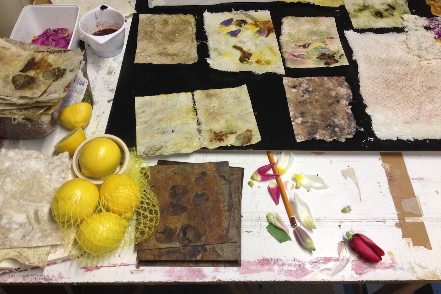 Verschillende experimenten met natuurlijk materiaal